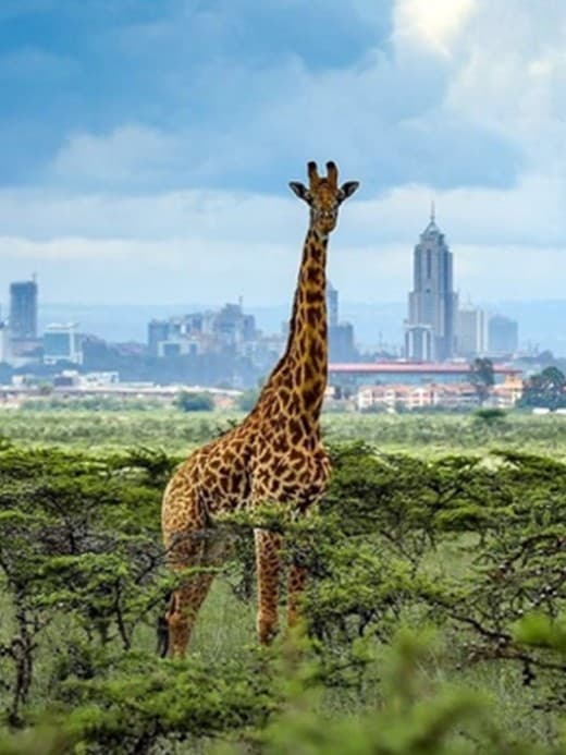 Nairobi